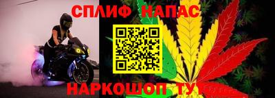 дживик Коммунар