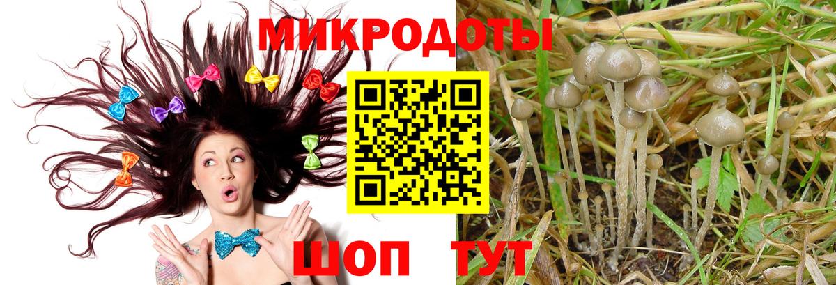 Кашира  Псилоцибиновые грибы Magic Shrooms  Вход с VPN 